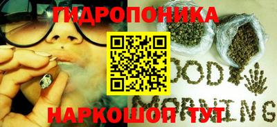 трава Шахты